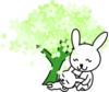 Green Sakura Tree Baby And Mother Image